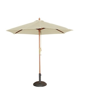 Parasol
